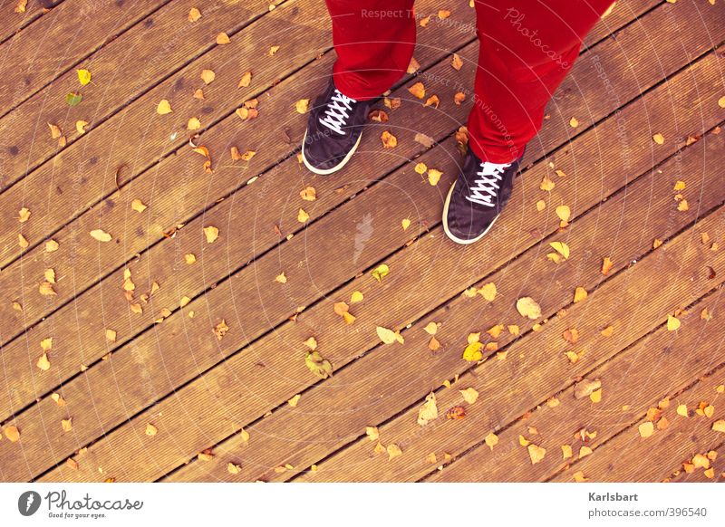 im Herbst stehen. Lifestyle Stil Leben Wohlgefühl wandern Häusliches Leben Garten Jugendliche Fuß 1 Mensch Natur Blatt Balkon Terrasse Bodenbelag Fußgänger