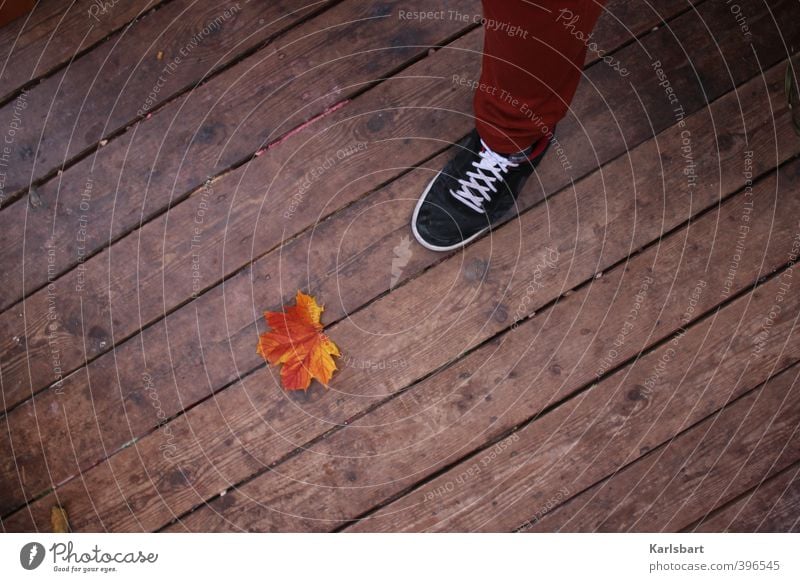 Schritt in den Herbst. Fuß 1 Mensch Natur Blatt Balkon Terrasse Bodenbelag Hose Schuhe Turnschuh Holz Linie Streifen gehen stehen wandern Beginn