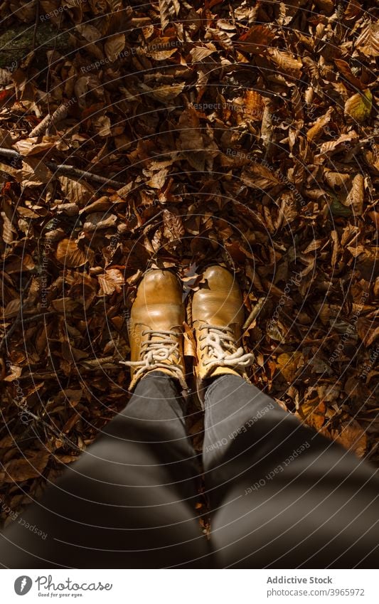 Anonyme Frau auf gefallenen Blättern stehend Herbst Blatt Bein Stiefel Wald Saison trocknen Natur Laubwerk Wälder reisen Park Schuhe Landschaft Fuß Waldgebiet