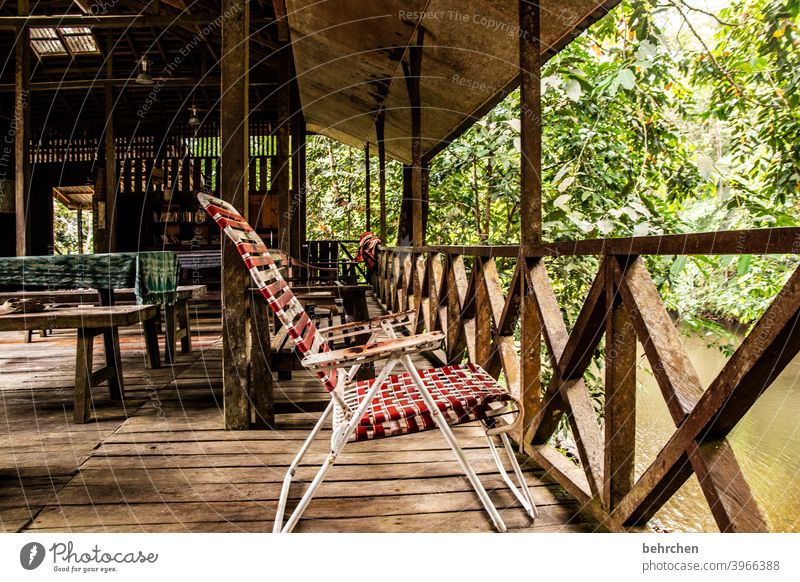 weil es die einfachen dinge sind Leben Idylle Ruhe Veranda nostalgisch Liegestuhl traumhaft Natur besonders Landschaft Urwald Menschenleer Fluss Ausflug Asien