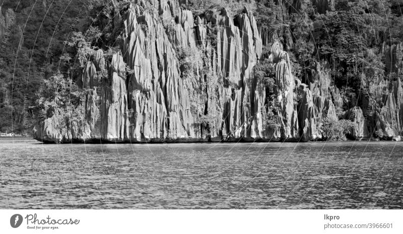 Blick von einer Klippe auf die wunderschöne Paradiesbucht Krone See Kajangan Philippinen Insel palawan Lagune tropisch Hintergrund Natur blau Landschaft Sommer