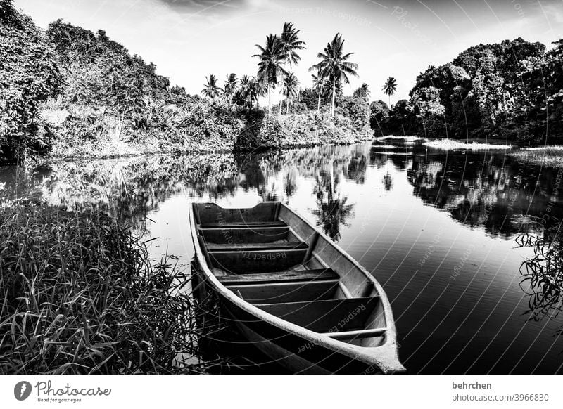 in der ruhe baden Schatten Schwarzweißfoto Sonnenlicht Kontrast Licht Tag Reflexion & Spiegelung Idylle Farbfoto Außenaufnahme Wasserfahrzeug Fernweh Malaysia