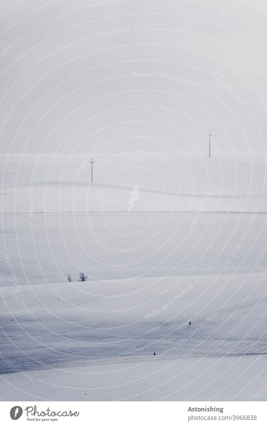 weiße Winterlandschaft Landschaft Schnee Natur Wetter Hügel Strom Strommast Horizont Ruhe Stille still Idylle Linien Himmel Wolken grau Umwelt Außenaufnahme