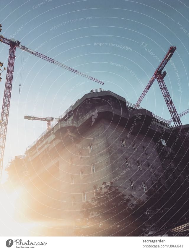 Geblendet vom Kranballett im Sonnenaufgang. Bunker Baustelle Hamburg Sonnenlicht Architektur Außenaufnahme Farbfoto Menschenleer Stadt Bauwerk Beton Gebäude Tag