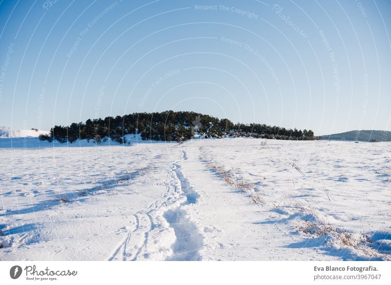 schöne Winterlandschaft. verschneiten Berg und Wald in einem sonnigen Tag. Niemand Sonnenstrahlen jan Norden Horizont Saison kalt Zeit Sonnenschein Einfrieren