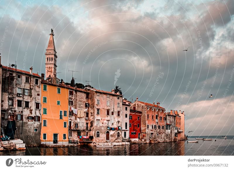 Historische Altstadt von Rovinj entspannung ästhetisch Küste Adria Insel Starke Tiefenschärfe Farbfoto Außenaufnahme Urlaubsort Menschenleer Kroatien