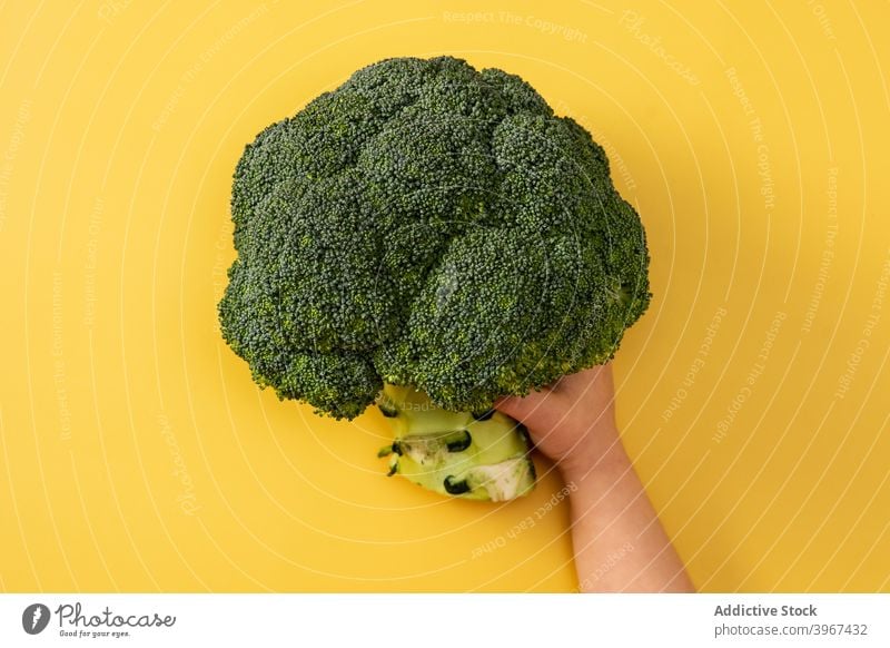 Baby Mädchen hält Brokkoli in der Hand Ackerbau Botanik lecker Lebensmittel frisch grün Hände Gesundheit Beteiligung hausgemacht vereinzelt Kind Ernährung