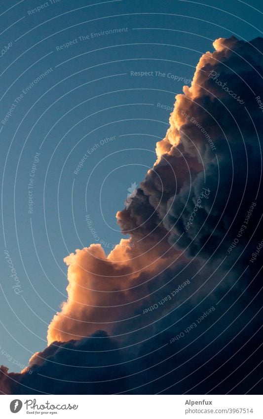 heiter bis wolkig Wolken Wolkenformation Menschenleer Himmel Außenaufnahme Wolkenhimmel blau Wolkenbild Schönes Wetter Klima Farbfoto Umwelt Natur Tag