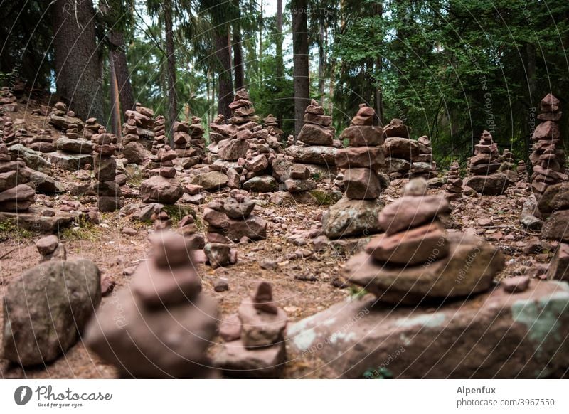 Zeitgeschichte | Steinzeit Steine Wald Waldlichtung Steinmännchen Außenaufnahme Natur Farbfoto Menschenleer Felsen Umwelt wandern Ferien & Urlaub & Reisen