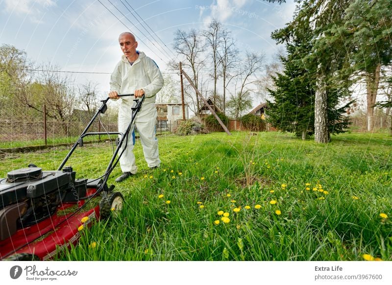 Landwirt in Schutzkleidung mäht Rasen in einem Garten mit einem Benzinrasenmäher Hinterhof Blütezeit botanisch Pflege Schermaschine kultivieren geschnitten