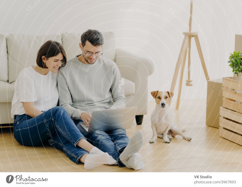 Innenaufnahme von reizenden Paar Umzug in neue Wohnung, verwenden moderne Laptop für die Suche Design-Ideen für ihre Wohnung, sitzt auf dem Boden in der Nähe von Sofa, Rassehund posiert in der Nähe von Kartons. Umzugstag Konzept