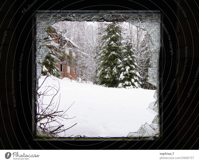 Es ist kalt draußen - Winterlandschaft durch ein kaputtes Fenster Schnee gebrochen Verwesung Tanne Rahmen Landschaft Saison Verlassen Bäume Ansicht Glas