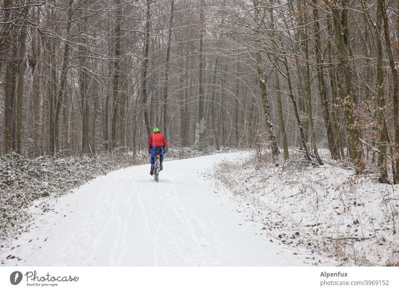 Wintersportler radfahrer Sport Schnee Wald Winterwald Natur Baum Außenaufnahme Landschaft Wintertag Schneelandschaft Schneedecke Farbfoto Winterurlaub