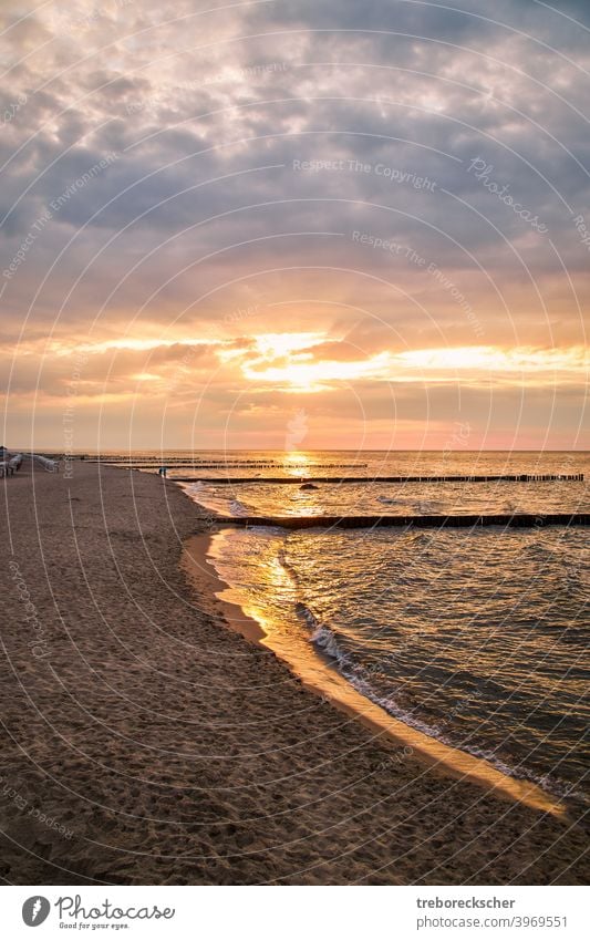 Strand mit Buhnen auf der Insel Rügen im Abendlicht baltisch MEER reisen Sonnenuntergang Urlaub Küste Sommer Landschaft Feiertag Wasser Ansicht Europa Himmel