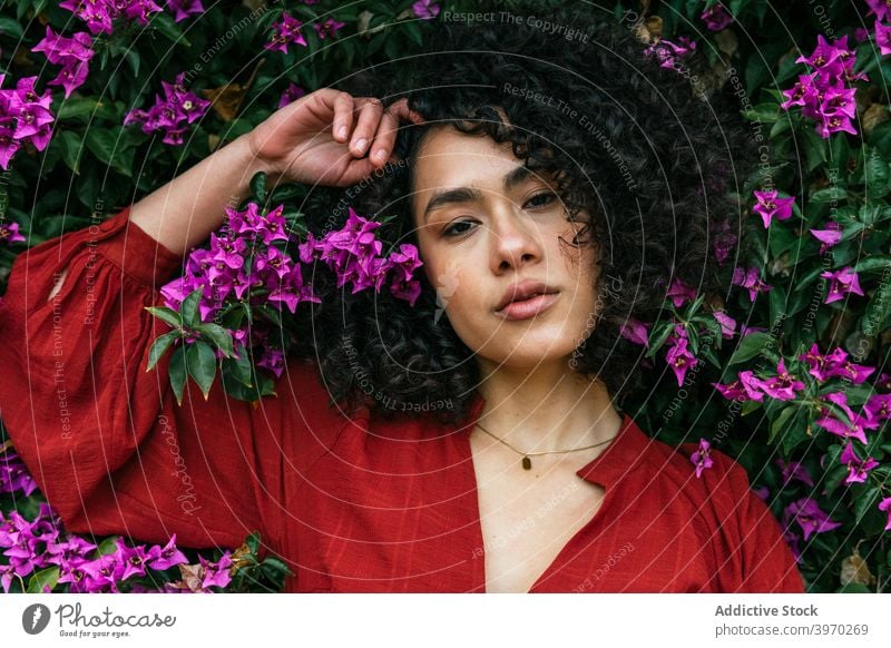 Sorglose schwarze Frau im blühenden Garten Blütezeit Blume genießen sorgenfrei ruhig Angebot Park ethnisch Afroamerikaner Sommer Natur Harmonie Windstille