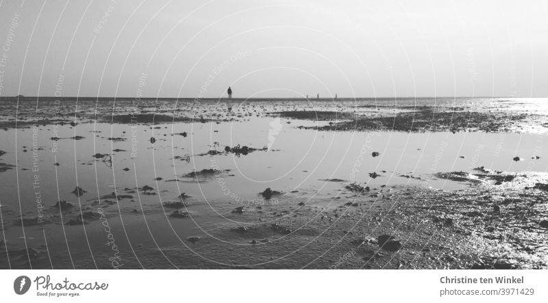 Einsamkeit...  Silhouetten von Spaziergängern im Watt Strand Wattenmeer Strandspaziergang Nordsee Nordseinsel Ebbe Niedrigwasser Meer Küste Gezeiten Horizont