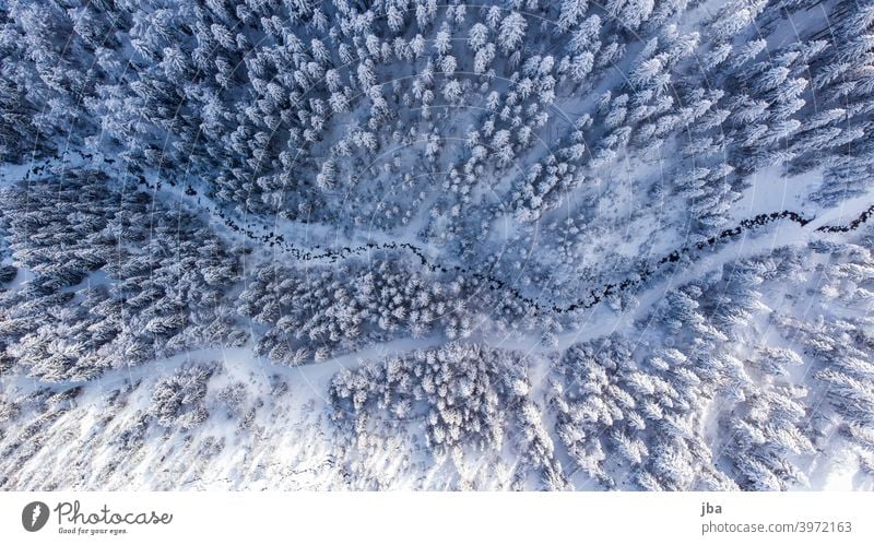 Vogelperspektive auf einen winterlichen Bergbach I Bach Strasse Winter kalt Farbfoto Landschaft Umwelt Schnee Außenaufnahme Natur Wasser Eis Baum Frost