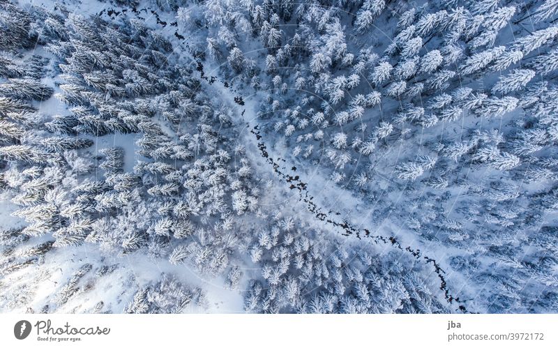 Vogelperspektive auf einen winterlichen Bergbach II Diagonal DJI Drohne Bach Gewässer Winter kalt eiskalt Baumwipfel Baumkrone Tannenspitze von oben Natur