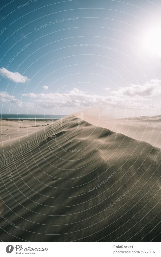 #AS# Wüstenliebe Düne Wind Wellen Sand Strand Stranddüne Ferien & Urlaub & Reisen Meer Küste Natur wüstenlandschaft wüstensand Wüstenpiste dünenlandschaft