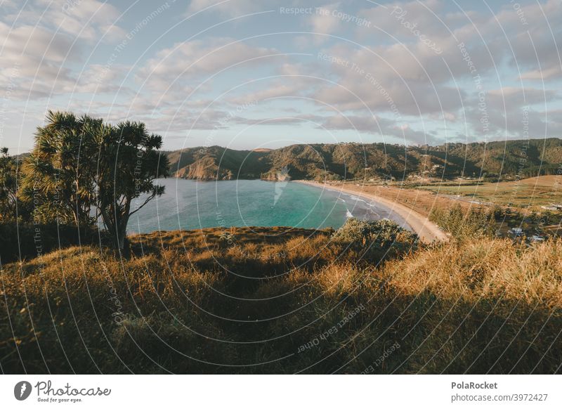 #AS# Morning Walk Strand und Meer Wellen mit Reflexionen grün blau whitewash Camping ufer Küste Himmel Landschaft reisen Sommer allein naturbelassen wild Wasser