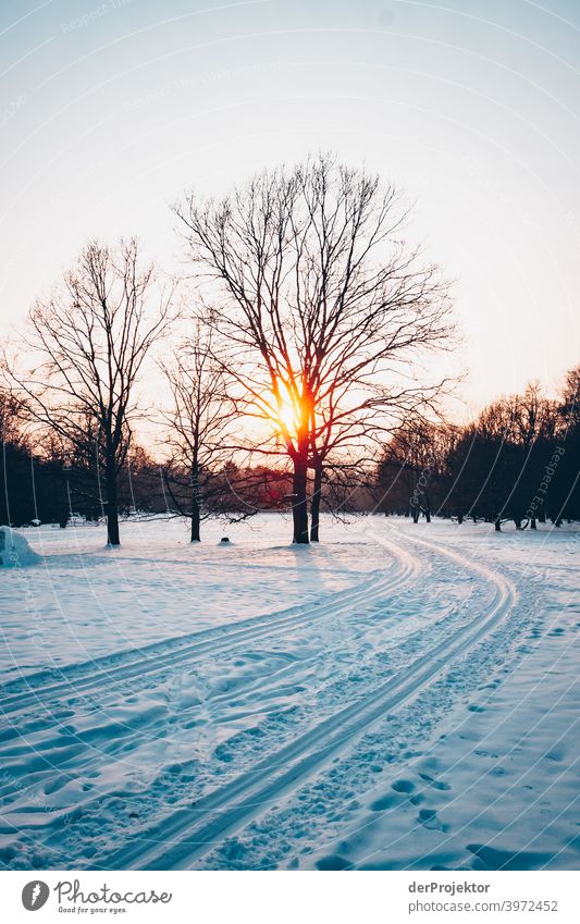 Ski-Loipe in Berlin im Britzer Garten Naturerlebnis Ferien & Urlaub & Reisen Lebensfreude Landschaft Tourismus Licht Kontrast Schatten Sonnenstrahlen