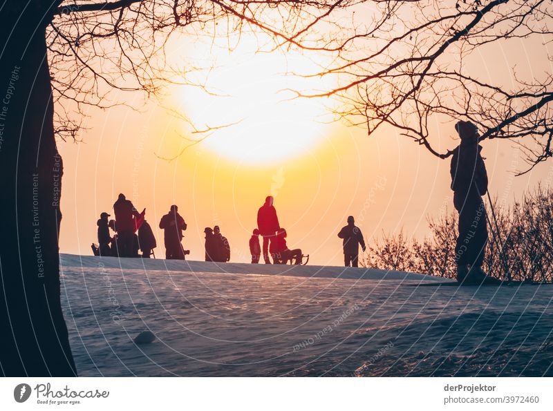 Rodeln in Berlin im Britzer Garten II Naturerlebnis Ferien & Urlaub & Reisen Lebensfreude Landschaft Tourismus Licht Kontrast Schatten Sonnenstrahlen