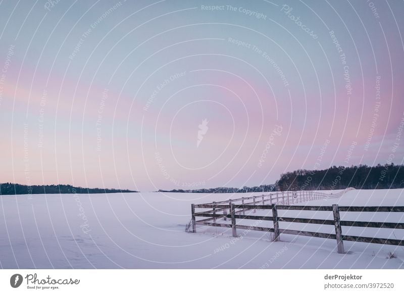 Weide mit Zaun auf Rügen nach einem Schneesturm Panorama (Aussicht) Totale Starke Tiefenschärfe Schatten Licht Textfreiraum Mitte Textfreiraum unten