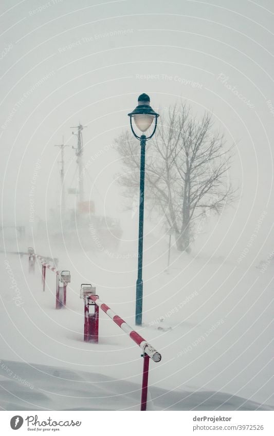 Straßenlaternen auf Rügen in einem Schneesturm Panorama (Aussicht) Totale Starke Tiefenschärfe Schatten Licht Textfreiraum Mitte Textfreiraum unten