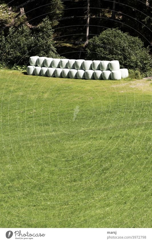 Vorratshaltung, ordentlich gestapelte Siloballen auf grüner Wiese am Waldesrand Haltbarkeit Silofolie Müll Recycling Kunststoff Plastik Folie