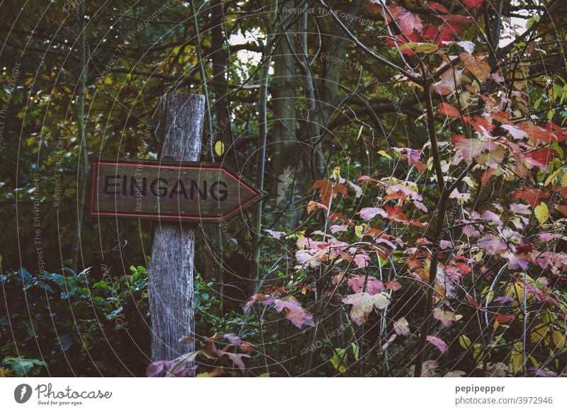 Schild Eingang in einem Wald Schilder & Markierungen Schilderwald Waldrand waldgebiet Waldlichtung Waldspaziergang Waldstimmung Waldweg Natur Baum Außenaufnahme