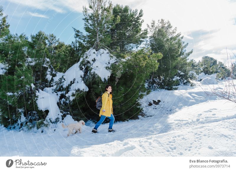 Backpacker Frau Wandern im Freien mit niedlichen Pudel Hund. Snowy Berg in der Wintersaison. Natur, Haustiere und Lebensstil Rucksack Berge u. Gebirge Schnee