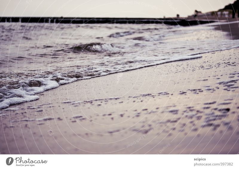 Ufer Natur Landschaft Sand Wasser Himmel Sommer Schönes Wetter Wellen Küste Seeufer Strand Ostsee Erholung laufen träumen nass positiv Wärme Gefühle Freude