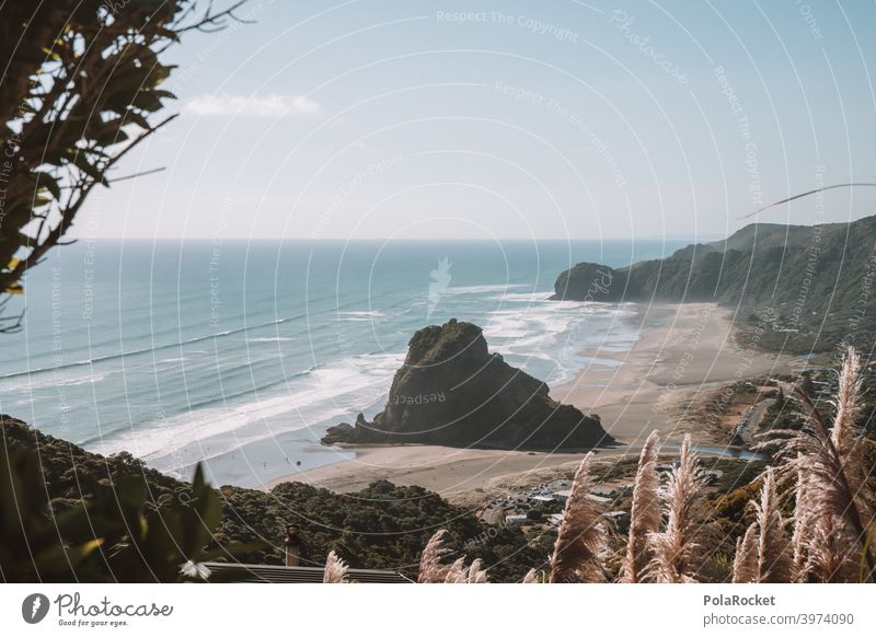 #AS# Piha Felsen Wellen Surfers Paradise Pampasgras Ebbe besonders Küste Wasser Surfen Strand Meer Surf-Wellen Meereslandschaft Meeresufer Horizont