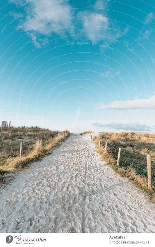 Eine Weitwinkelaufnahme des von Pflanzen umgebenen Sandweges zum Strand an einem klaren Tag im Frühling Anfänge Kopierbereich Ideen Unendlichkeit Feiertage