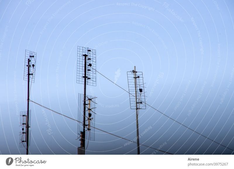 Kommunikationsdesign Antennen Unterhaltungselektronik Himmel nur Himmel Schönes Wetter Metall Stahl Linie Luft Fernsehen schauen Musik hören eckig einfach