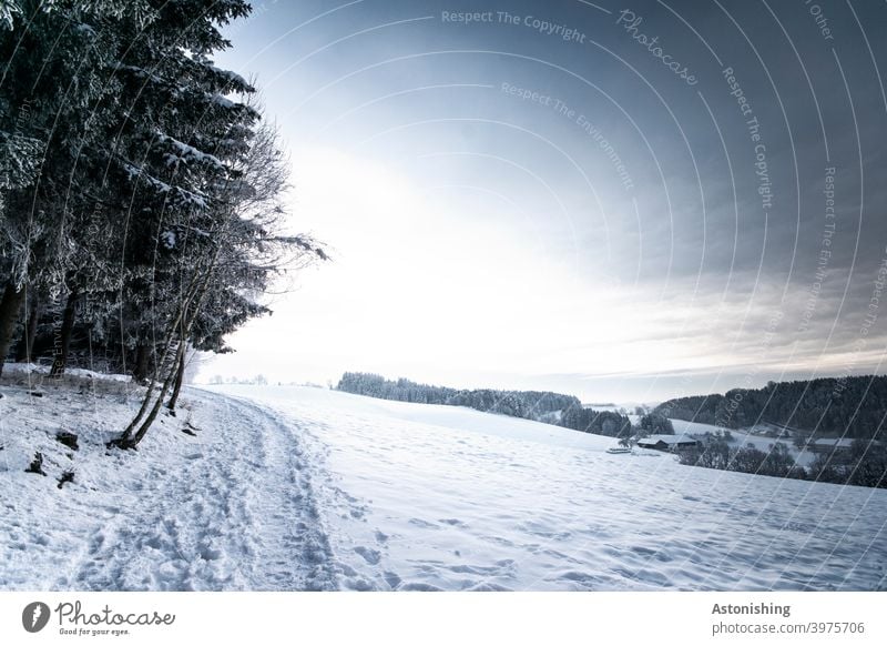 Winter-Hügel-Landschaft Winterlandschaft hügelig Wald Natur Himmel Horizont Schnee weiß Weg Pfad Licht Schatten Winterwald weißblau Sonne Wetter Jahreszeit