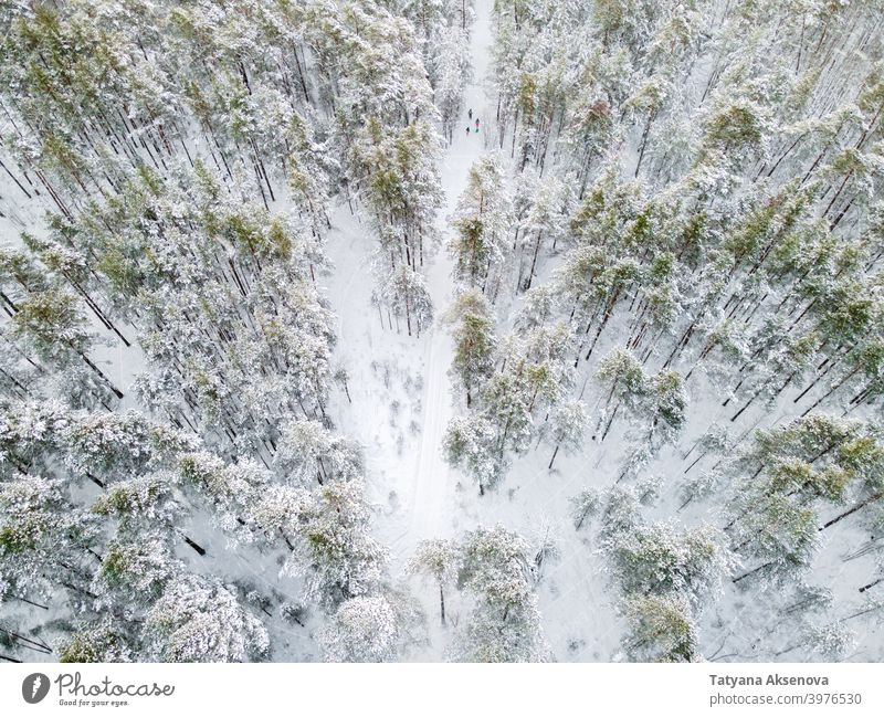 Winterstraße im verschneiten Wald Schnee Familie Spaziergang Wanderung wandern Natur Saison Baum Antenne kalt Wetter Frost Landschaft Ansicht weiß Holz