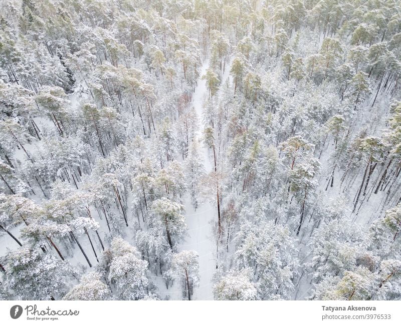 Winterstraße im verschneiten Wald Schnee Natur Saison Baum Antenne kalt Wetter Frost Landschaft Ansicht weiß Holz im Freien Eis Hintergrund Dröhnen Umwelt