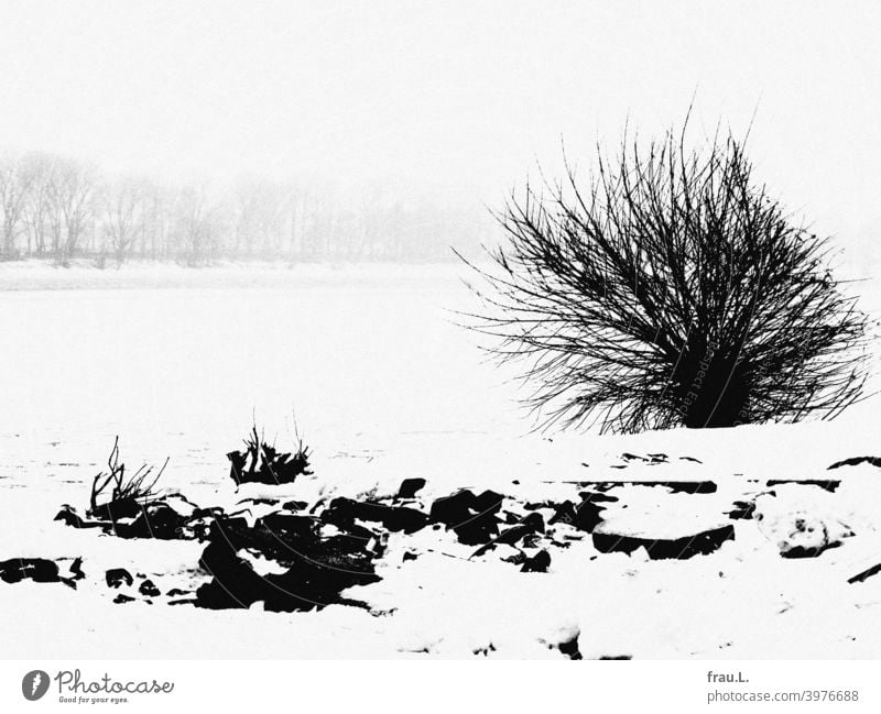 Es war einmal in Hamburg, da hatte es geschneit ... Winter Schnee kalt Frost Busch Elbe Baum Ufer Steine