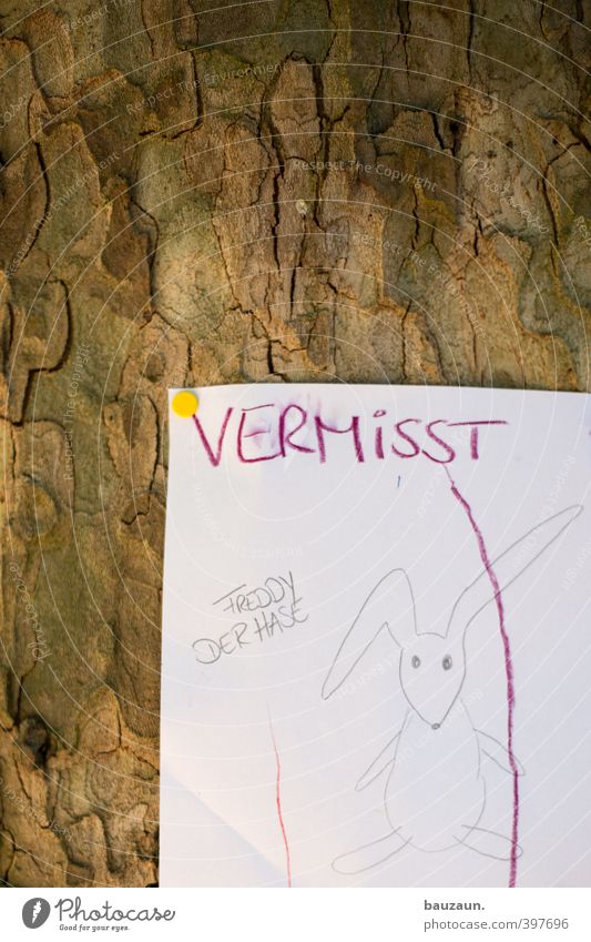 ut köln | zollstock | vermisst. Kindererziehung Kindheit Baum Haustier Hase & Kaninchen 1 Tier Schreibwaren Papier Zettel Holz Zeichen Schriftzeichen