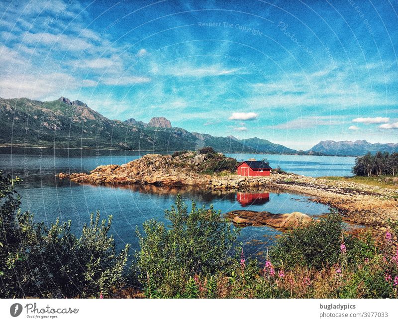 Hütte am Meer Haus Fischerhütte Bootshaus bootsschuppen Küste Künstenlandschaft See Fjord Fjordlands Berge u. Gebirge Wasser Blauer Himmel Sommer Norwegen