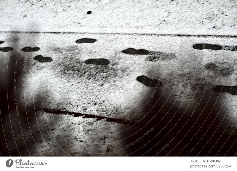 Ein schmaler Weg mit geraden Kanten und einer dünnen Schneedecke auf der ein paar Füße pechschwarze Spuren hinterlassen haben und zusammen mit den unscharf düsteren Pflanzen im Vordergrund den Eindruck einer Winterdepression vermitteln