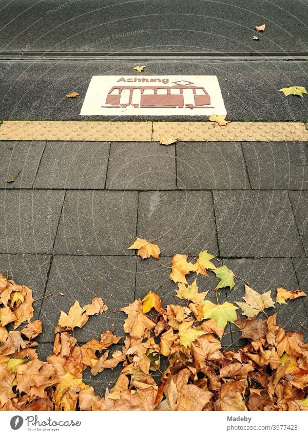 Barierefrei Haltestelle der Straßenbahn mit taktilem Leitsystem und braunem Herbstlaub in Köln am Rhein in Nordrhein-Westfalen in Deutschland Laub Jahreszeit