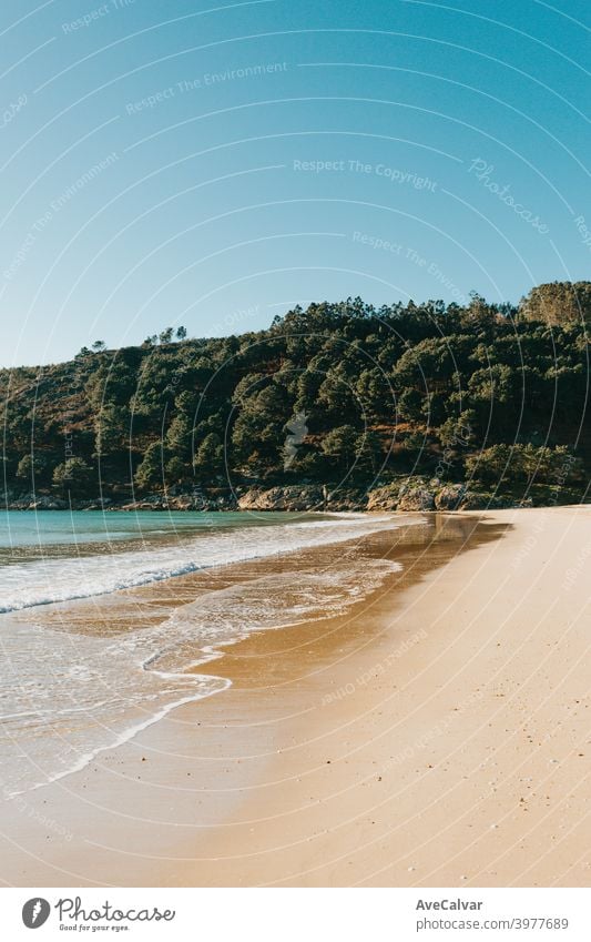 Die Gezeiten am Strand vor dem Wald an einem hellen Tag mit Kopierraum Meer Reflexion & Spiegelung Sonnenaufgang winken Kopierbereich horizontal friedlich