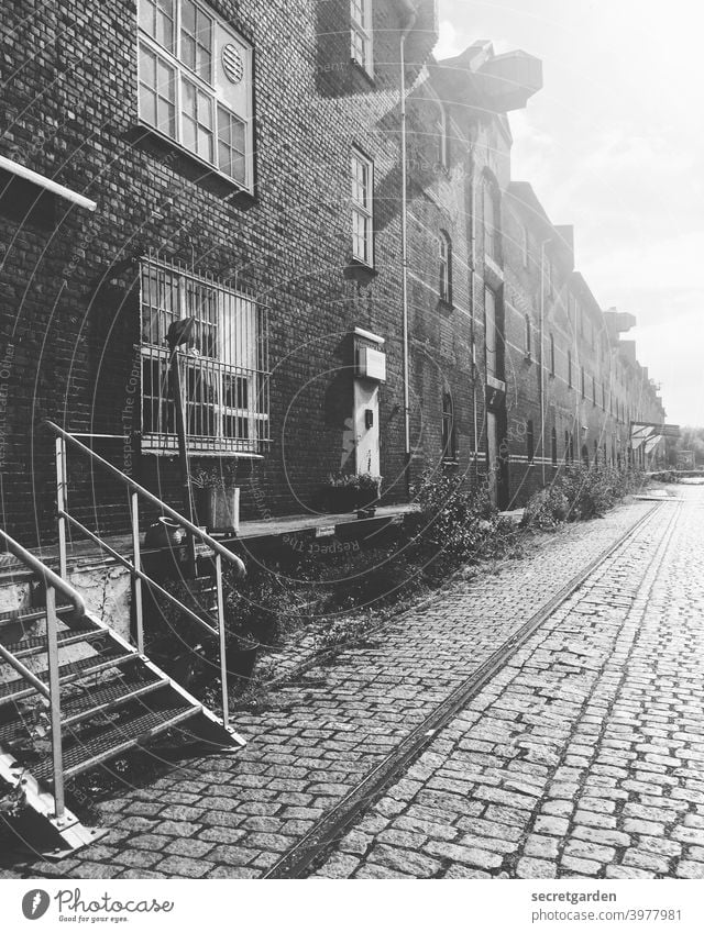 Zeitgeschichte | Lagerhaus G Architektur Hamburg Hamburger Hafen Geschichte Außenaufnahme Stadt Morgensonne Sonnenaufgang Monochrom Gebäude Bauwerk Verfall