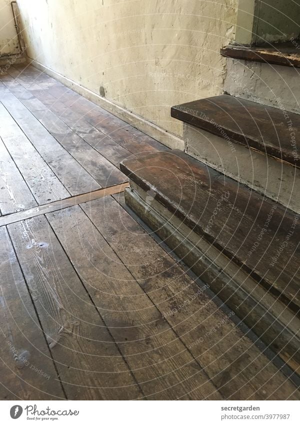 Leerstand. Treppe Holz Dielenboden Holzdielen Retro Altbau Altbauwohnung Architektur Häusliches Leben Menschenleer Wohnung Holzfußboden Bodenbelag