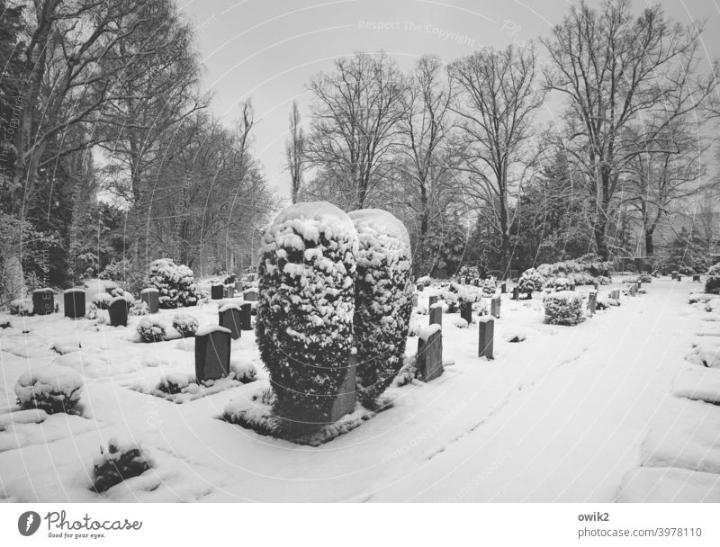 Stille Gräber Trauer Tod Tost Winter Kälte Umwelt Natur Landschaft friedlich Textfreiraum rechts Panorama (Aussicht) Schönes Wetter trösten Friedhof Frost Eis