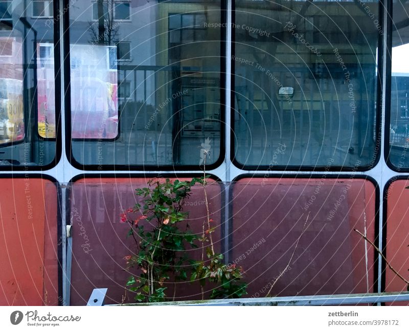 Kabine mit großen Fenstern haus bude pförtner pförtnerloge kabine fenster glas schaufenster glasfenster kontrolle alt ruine industrie fabrik zugang