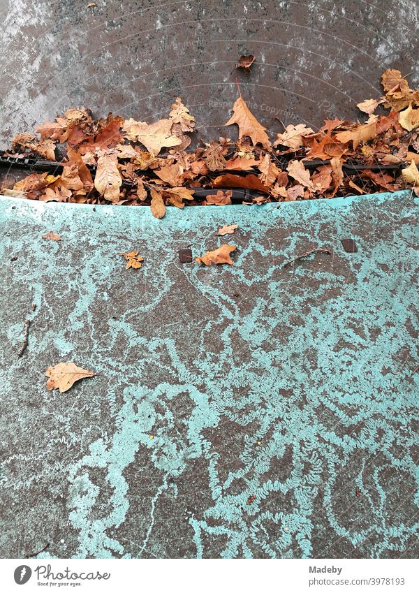 Braunes Herbstlaub auf der Windschutzscheibe und der Motorhaube eines total verdreckten Laternenparker im Herbst mit Metallic Lackierung Gebrauchtwagen