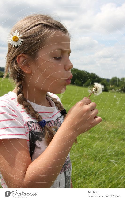 Pusteblume Sommer Frühling pusten Freude Naturliebe Lebensfreude Blume Löwenzahn authentisch Pflanze Wildpflanze zart leicht Wiese natürlich Blüte Mädchen Gras